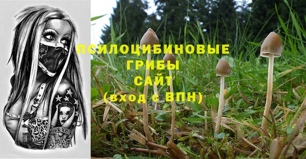 мяу мяу мука Беломорск